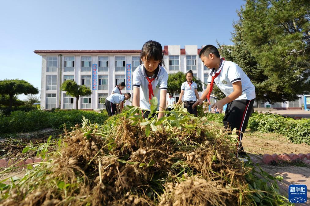淘金网在线注册